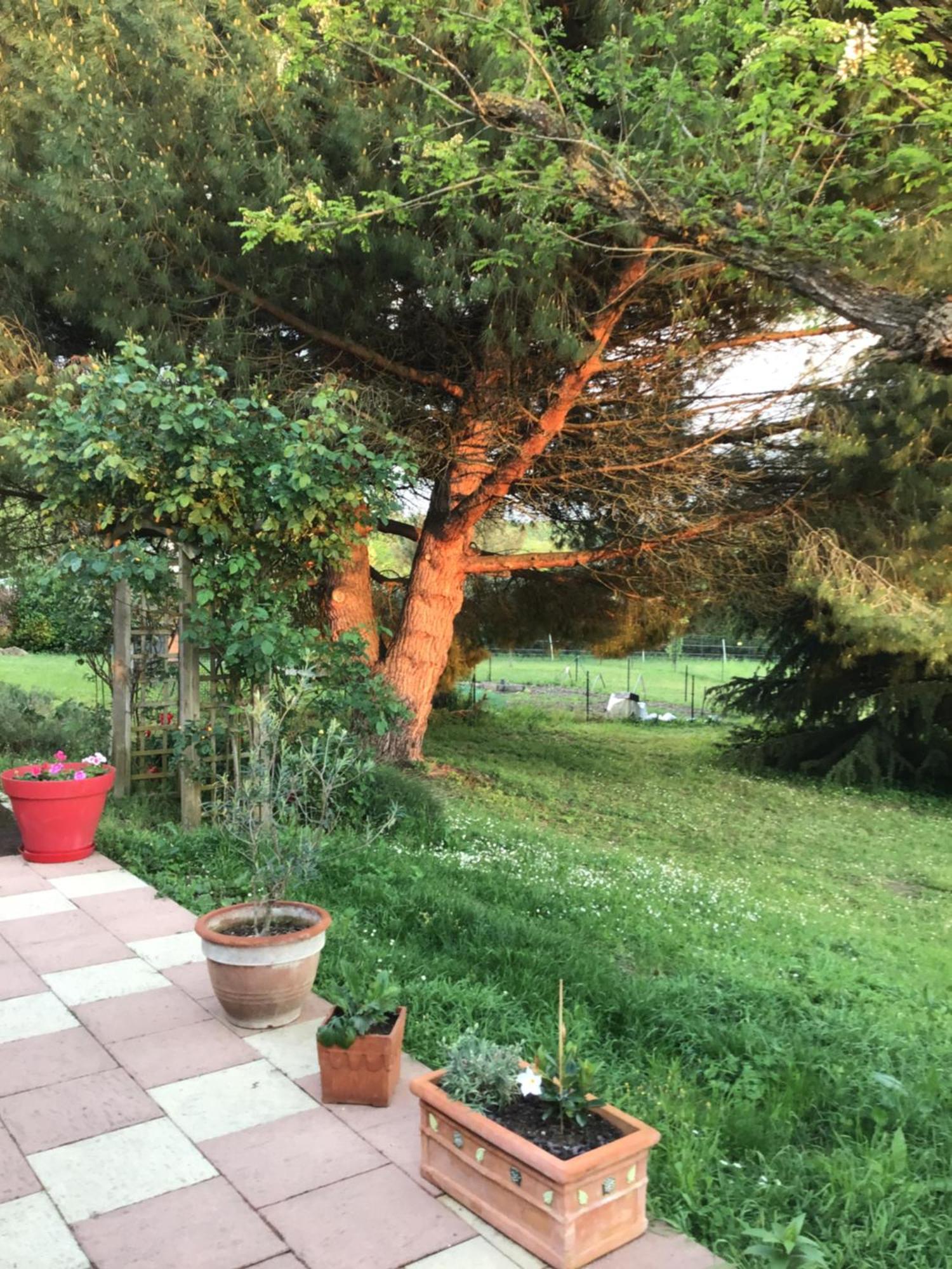 Des Roux Et Des Pious Suite De 35 A 60 M2 Et 3 Chambres Pour Groupe De 2 A 6 Personnes Civray-de-Touraine Kültér fotó