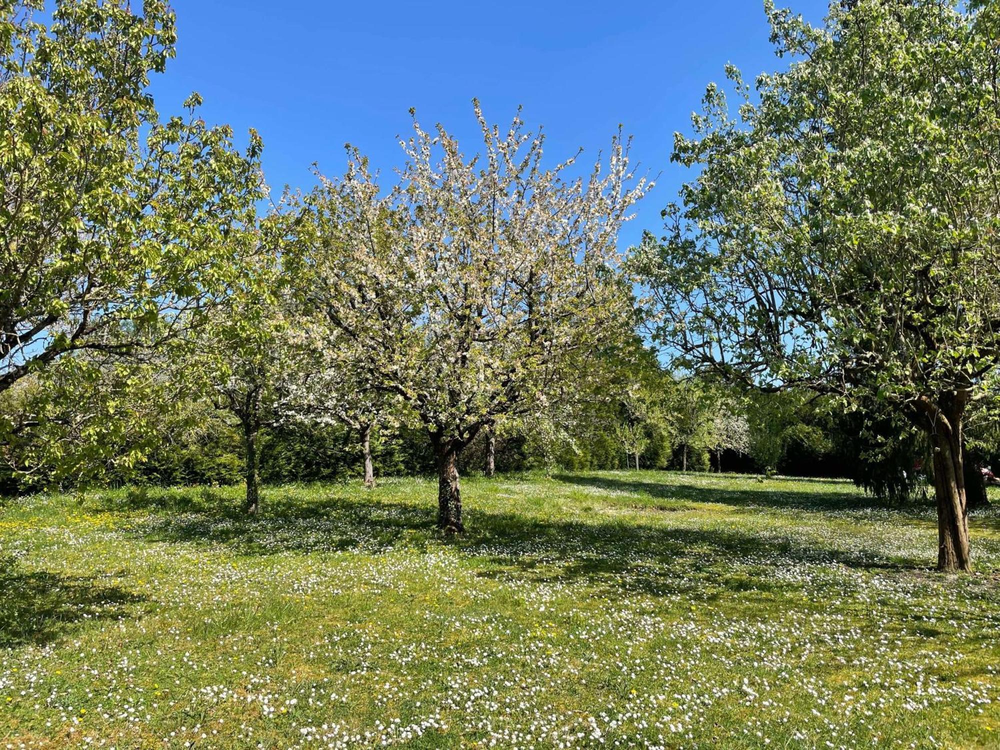 Des Roux Et Des Pious Suite De 35 A 60 M2 Et 3 Chambres Pour Groupe De 2 A 6 Personnes Civray-de-Touraine Kültér fotó